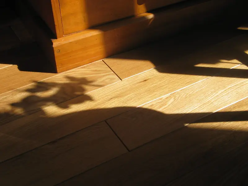 Parquet de chêne massif dans une lumière dorée de fin de journée